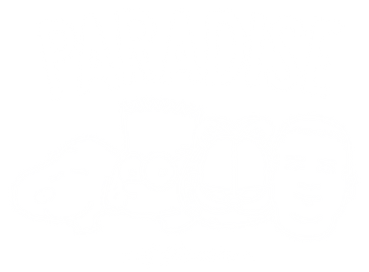 paradiseofflowers
